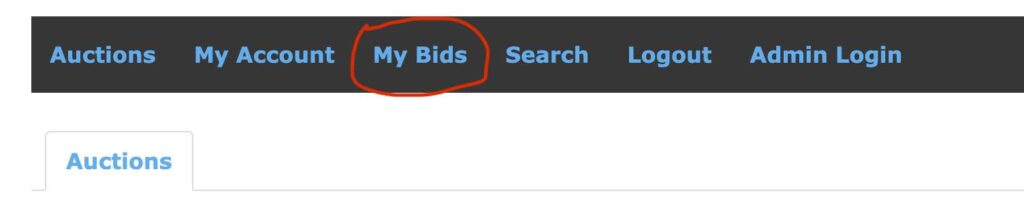 How To See Items You Have Won Lost Or Are Watching Using My Bids 